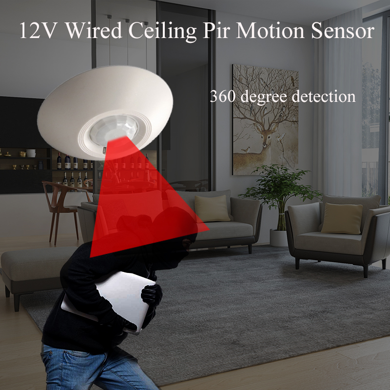 12 V Bedrade PIR Bewegingssens - Motion Sensor Pir Wired recensie en prijs
