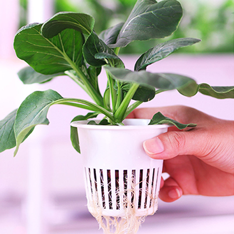 ydroponic plantsysteem Smart H - Home Automation System Diy recensie en prijs